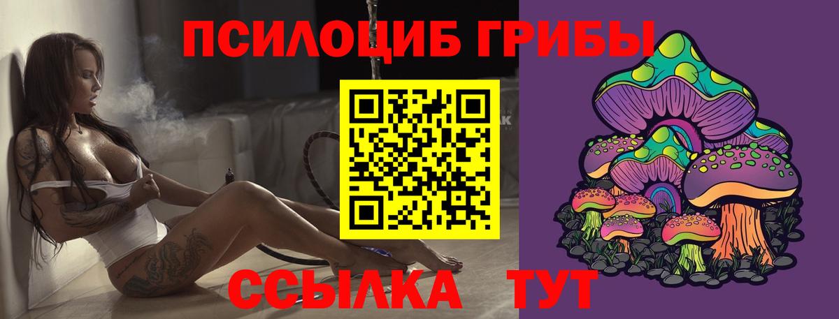 Выкса  Галлюциногенные грибы MAGIC MUSHROOMS  Псилоцибиновые грибы ЛСД  Вход с VPN 
